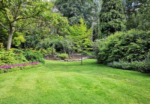 Optimiser l'expérience du jardin à Le Relecq-Kerhuon